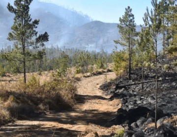 Se emiti&oacute; orden de arresto contra agricultor por fuego en Valle Nuevo