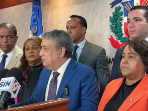 El PLD denuncia "acoso pol&iacute;tico" de la Fuerza del Pueblo y descarta acuerdo electoral futuro