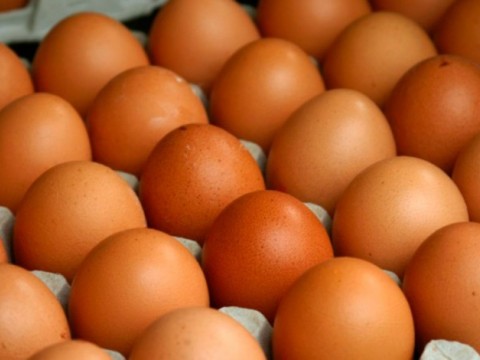 ProCompetencia inicia investigaci&oacute;n en el mercado de huevos de gallina