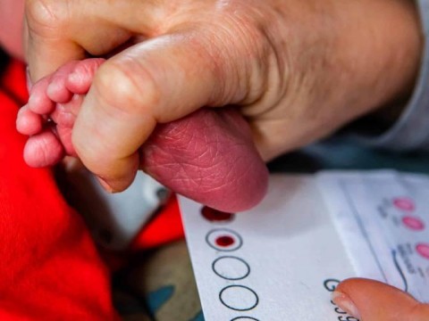 RD oficializa cuidados maternos y neonatales respetuosos en curr&iacute;culo de enfermer&iacute;a