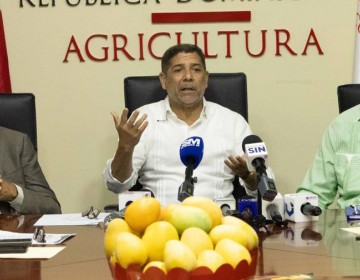 Rep&uacute;blica Dominicana busca aumentar hasta en 30 % exportaciones de mango en 2024