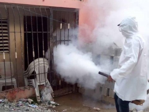 Reporte de la OPS afirma casos sospechosos de dengue en el pa&iacute;s ascendieron a 7,663
