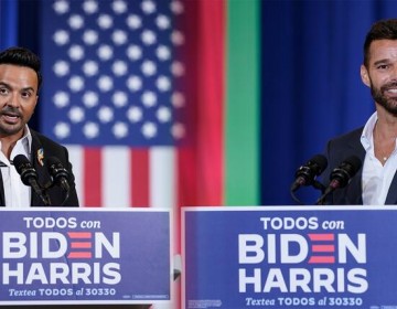 Ricky Martin y Luis Fonsi piden a Latinos votar por Biden 