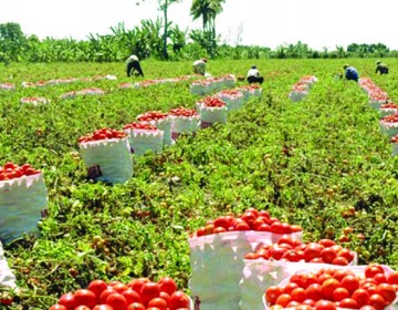 Sector agr&iacute;cola registra &ldquo;estr&eacute;s h&iacute;drico&rdquo; en frontera