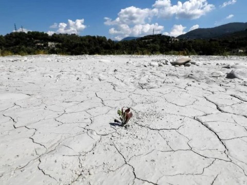 Uni&oacute;n Europea espera sequ&iacute;as extremas "casi cada a&ntilde;o" en 2043 si no se toman medidas