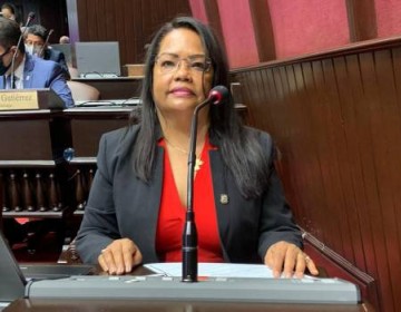 Legisladora pide eliminar cobro de 10 d&oacute;lares a dominicanos residentes en el extranjero y aumentar la gracia navide&ntilde;a