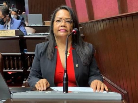 Legisladora pide eliminar cobro de 10 d&oacute;lares a dominicanos residentes en el extranjero y aumentar la gracia navide&ntilde;a