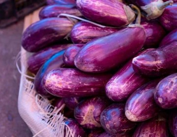 La Uni&oacute;n Europea rechaza menos productos dominicanos, pero quedan unos en la mira