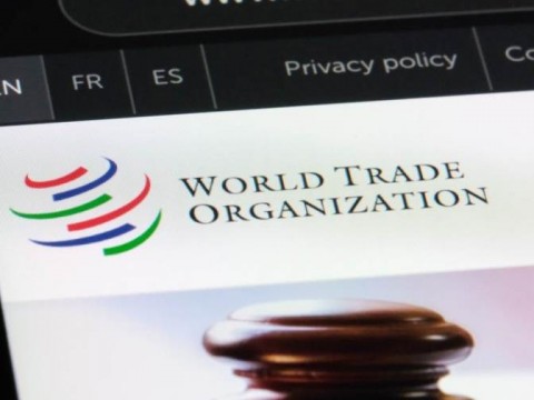 RD apela decisi&oacute;n de la OMC sobre medidas antidumping a varillas de Costa Rica
