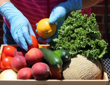 La inseguridad alimentaria crece un 60 % en Latinoam&eacute;rica en siete a&ntilde;os