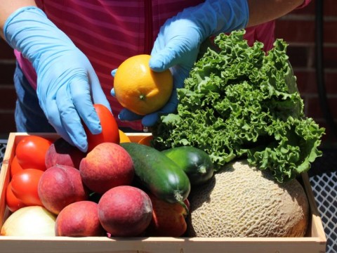 La inseguridad alimentaria crece un 60 % en Latinoam&eacute;rica en siete a&ntilde;os