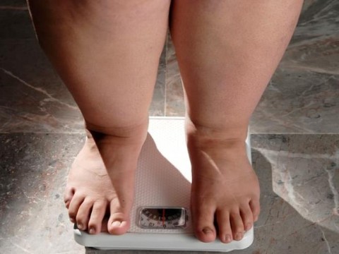 Aumento de obesidad en pa&iacute;ses en desarrollo depende del alto costo de alimentos saludables
