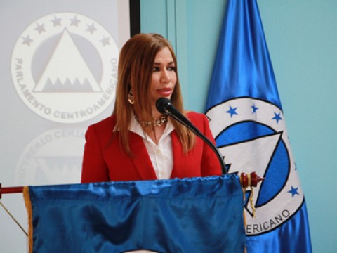 Diputada dominicana Silvia Garc&iacute;a presidir&aacute; Junta Directiva del Parlacen 2023-2024