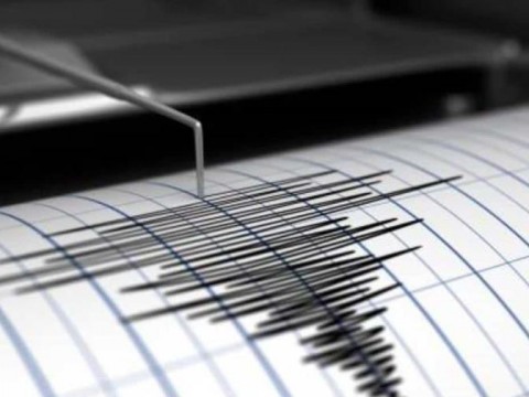 Sismo de 4.6 estremece la regi&oacute;n sur y Santo Domingo