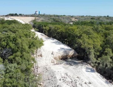 Ministerio de Defensa dice solo ha tocado el 0.04 % de los manglares de Laguna Saladilla