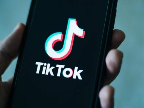 La Casa Blanca da 30 d&iacute;as a las agencias federales para eliminar TikTok