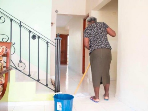 Resoluciones formalizan el trabajo dom&eacute;stico suponen modificar leyes
