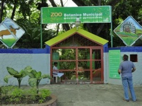 Zool&oacute;gico de Santiago cierra sus puertas por falta de apoyo estatal