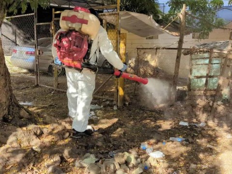 La OMS eleva a alto el riesgo de expansi&oacute;n global del dengue, con 5.000 muertes en 2023