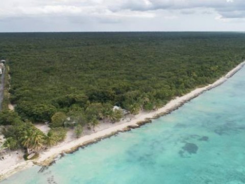 TSA admite recurso cautelar que suspende permiso a Globalia para construir en el Cotubanam&aacute;