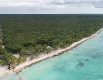 TSA admite recurso cautelar que suspende permiso a Globalia para construir en el Cotubanam&aacute;
