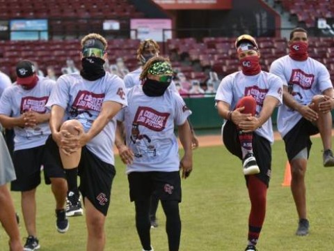Tigres del Licey y Gigantes del Cibao vuelven el lunes a la pelota invernal