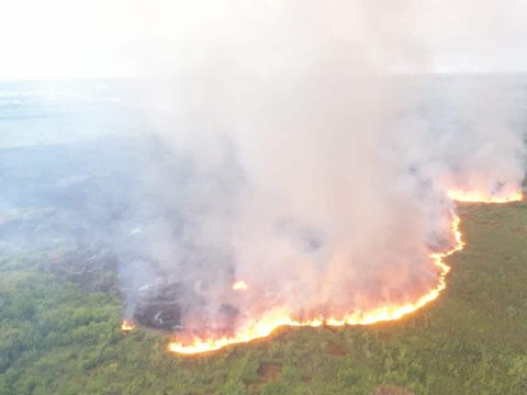 Incendio afecta zona tur&iacute;stica de Punta Cana