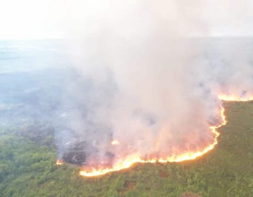 Incendio afecta zona tur&iacute;stica de Punta Cana