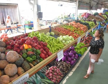 Precios de productos agr&iacute;colas subieron 2.8 % en septiembre