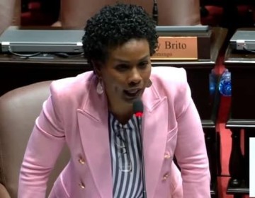 Diputada Fior Daliza Peguero renuncia del PRD y se declara independiente