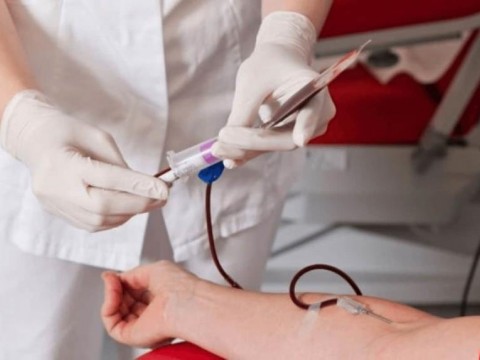 Sangre creada en un laboratorio se transfunde por primera vez a las personas