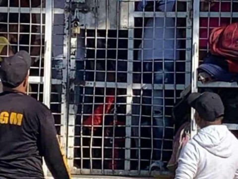 Migraci&oacute;n repatria 8,977 extranjeros irregulares en las dos primeras semanas de enero