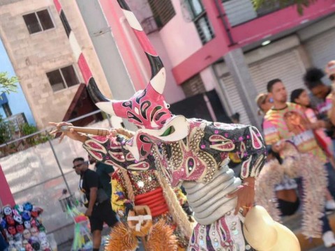 Suspenden pr&oacute;xima salida del carnaval en Santiago por muerte de ni&ntilde;o