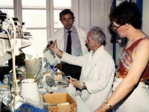 Se cumplen 40 a&ntilde;os del descubrimiento del virus del sida