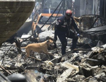 Tres perros buscan bajo los escombros m&aacute;s v&iacute;ctimas de la explosi&oacute;n en San Crist&oacute;bal