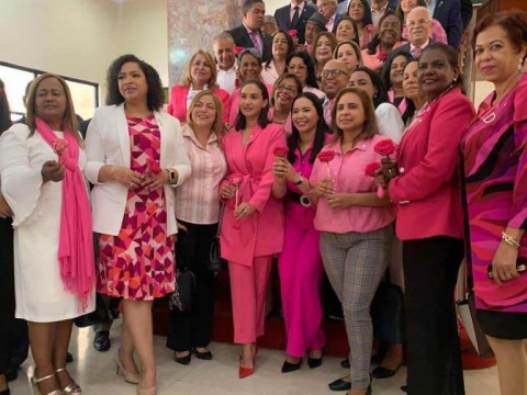 Comisi&oacute;n de diputadas exige m&aacute;s presupuesto en salud para combatir c&aacute;ncer de mama