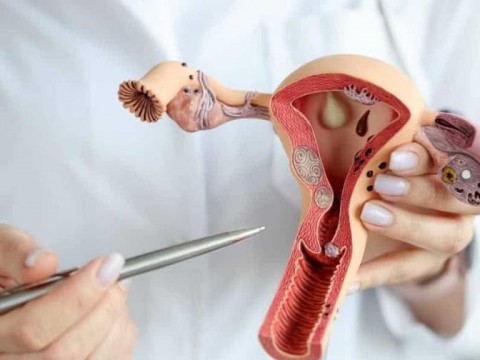 Una nueva prueba para detectar el c&aacute;ncer de &uacute;tero reduce la mayor&iacute;a de falsos positivos